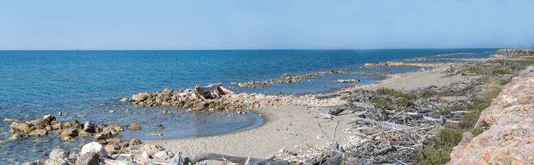 shore with stony beach and heaps of dry wood, Marina di Alberese, Italy
