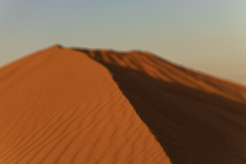 Fototapeta na wymiar A dune landscape in the Rub al Khali or Empty Quarter at golden sunset time and nobody around