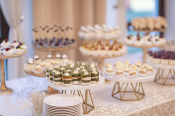 Closeup view photography of many small souffle cakes served on plate on table for cocktail party or on shelves of store. Christmas, birthday or wedding holiday dinner. catering food. tasty dessert.