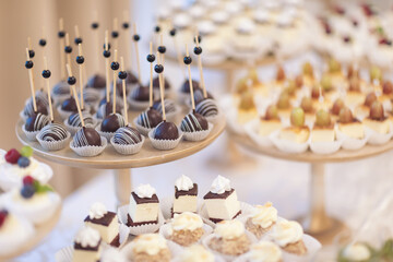 Closeup view photography of many small souffle cakes served on plate on table for cocktail party or on shelves of store. Christmas, birthday or wedding holiday dinner. catering food. tasty dessert.