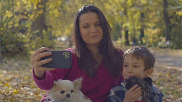 Mom and son take photos with dogs on their phones while walking in the park. Happy moments of family life, autumn park and home cheers. High quality 4k footage