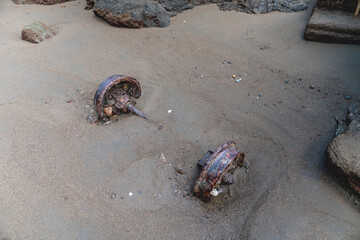 old rusty wheel on the beach in drake bay