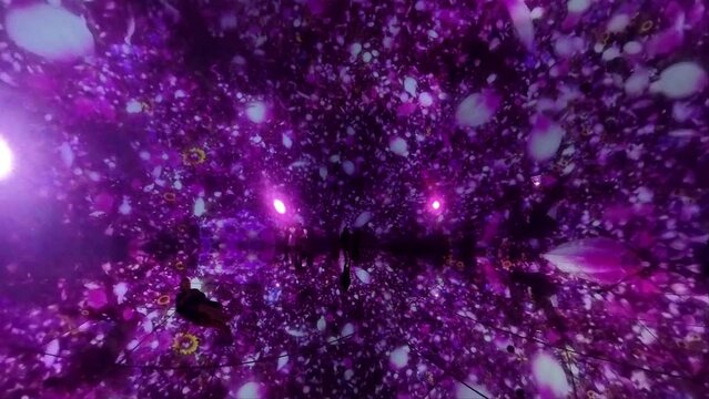 teamLab Planets is a museum where you walk through water, and a garden where you become one with the flowers. It comprises 4 large-scale artwork spaces and 2 gardens