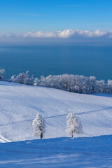 View from mountain above a snowcovered field and trees on a deep blue lake