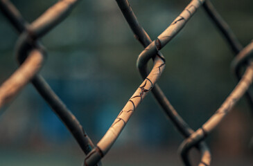 Close-up shot of rusted fence. Shallow focus.