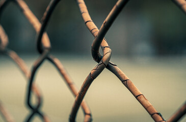 Close-up shot of rusted fence. Shallow focus.
