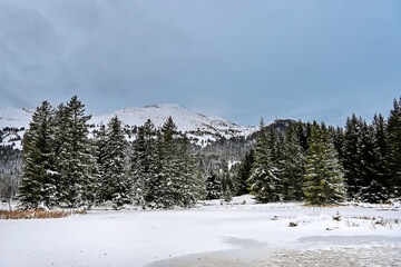 Lenzerheide, Valbella, Heidsee, Bergsee, Uferweg, Wanderweg, Winterwanderung, Langlauf, Loipe, Winterlandschaft, Seeufer, Alpen, Wald, Tannen, Eis, Winter, Graubünden, Schweiz