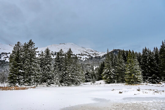 Lenzerheide, Valbella, Heidsee, Bergsee, Uferweg, Wanderweg, Winterwanderung, Langlauf, Loipe, Winterlandschaft, Seeufer, Alpen, Wald, Tannen, Eis, Winter, Graub&uuml;nden, Schweiz