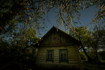 Night photo An old rustic wooden house and flowering  apple tree next to the house  and starry sky.  Ukrainian village. Simple lifestyle
