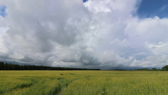 Timelapse of clouds rolling over an agricultural field in Estonia
