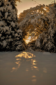 sunset in winter wonderland