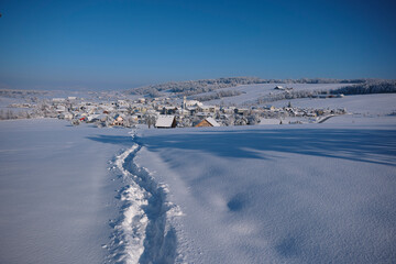 winter landscape with snow