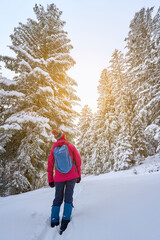 nice senior woman  hiking in a winter landscape in falling snow in the Bregenz Forest alps Alps,...