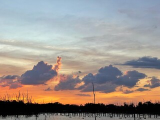 Orange fluffy clouds and sun sunlight reflection in the blue sky. Silhouette of tree and sky background.copy space.