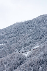 winter mountain landscape with a covered by snow fir forest and an old wooden village  - 688066613