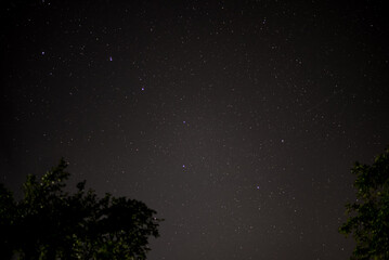 The Big Dipper constellation on the celestial vault. Observing the starry sky from dark and wild...