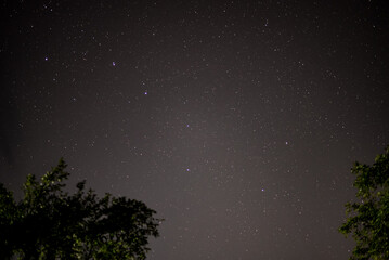 The Big Dipper constellation on the celestial vault. Observing the starry sky from dark and wild...