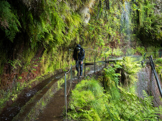 man hiker walking through waterfall at Levada Do Rei PR18 hike, water irrigation channel and tropical plants. Sao Jorge ending at the source in Ribeiro Bonito, Madeira, Portugal - 688069620