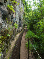 Fototapeta na wymiar View of levada, water irrigation channel and tropical plants from Levada Do Rei PR18 hike, from Sao Jorge ending at the source in Ribeiro Bonito, Madeira, Portugal