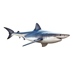 Fototapeta premium side view of Shark fish swimming isolated on a white transparent background 