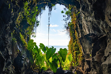Lava tunnel and tropical vegetation on the island of Madeira. Levada trail is tourist attraction of...