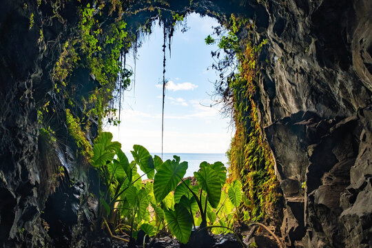 Lava tunnel and tropical vegetation on the island of Madeira. Levada trail is tourist attraction of popular resort