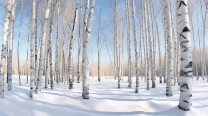 Fotobehang Winter landscape with birches in a birch grove. © tashechka