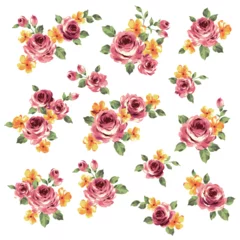 Glasschilderij Bloemen A collection of rose materials ideal for textile design,
