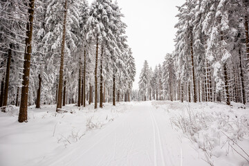 Kleine Winterwanderung im verschneiten Thüringer Wald bei Floh-Seligenthal - Thüringen -...
