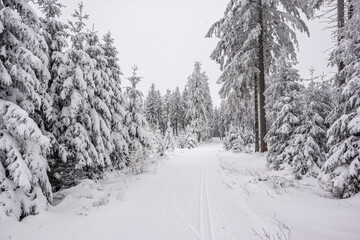 Kleine Winterwanderung im verschneiten Thüringer Wald bei Floh-Seligenthal - Thüringen -...
