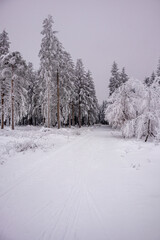 Kleine Winterwanderung im verschneiten Thüringer Wald bei Floh-Seligenthal - Thüringen - Deutschland