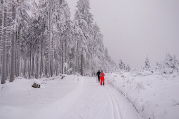 Kleine Winterwanderung im verschneiten Thüringer Wald bei Floh-Seligenthal - Thüringen -...