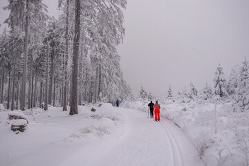 Kleine Winterwanderung im verschneiten Thüringer Wald bei Floh-Seligenthal - Thüringen -...