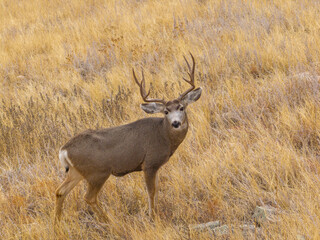 Fototapeta premium untitled