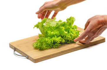 Human hands put green salad on a wooden cutting board. Side view. Salad preparation.