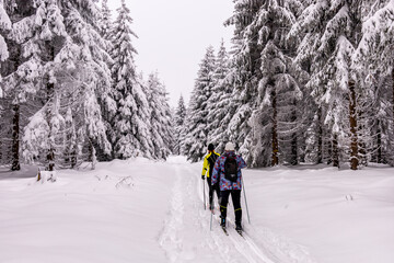 Fototapeta na wymiar Kleine Winterwanderung durch den Tiefschnee im Thüringer Wald bei Oberhof - Thüringen - Deutschland
