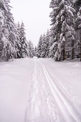 Kleine Winterwanderung durch den Tiefschnee im Thüringer Wald bei Oberhof - Thüringen - Deutschland