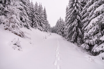 Kleine Winterwanderung durch den Tiefschnee im Thüringer Wald bei Oberhof - Thüringen - Deutschland