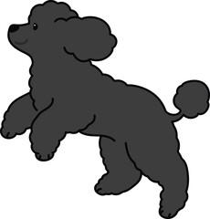 Simple and adorable jumping black colored Poodle dog illustration
