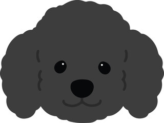 Simple and adorable black colored Poodle dog illustration front head flat colored