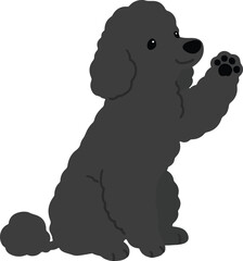 Simple and adorable black colored Poodle dog illustration waving hand flat colored