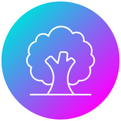 Evergreen Tree Icon