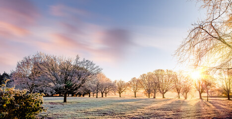 Amazing winter sunrise in Norfolk England trees - 688101248