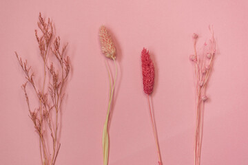 dry elegant pastel flowers