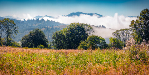 Stunning rural landscape of blooming meadow with foggy mountains on background. Panoramic  morning view of Carpathian village. Beauty of countryside concept background.