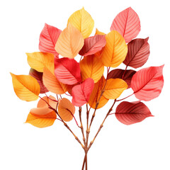 Obraz premium branch of autumn leaves isolated on a transparent background