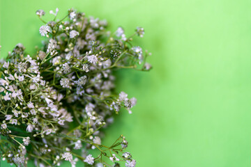 dry elegant pastel flowers