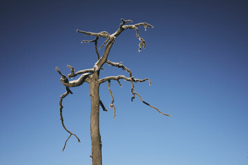 Image from a trip to the Store Vaalsjoen Lake, Vesle Vaalsjoen Lake, Veslekoltjernet Lake and Storkoltjernet Lake, part of the Totenaasen Hills, Oppland, Norway, in winter.