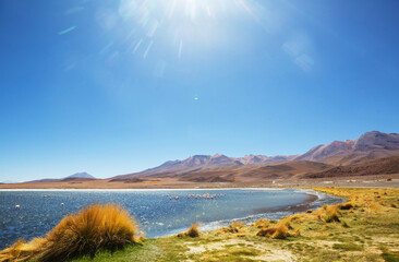 Obraz premium Lake in Bolivia