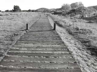 A black and white photo of a wooden hiking trail in a meadow.